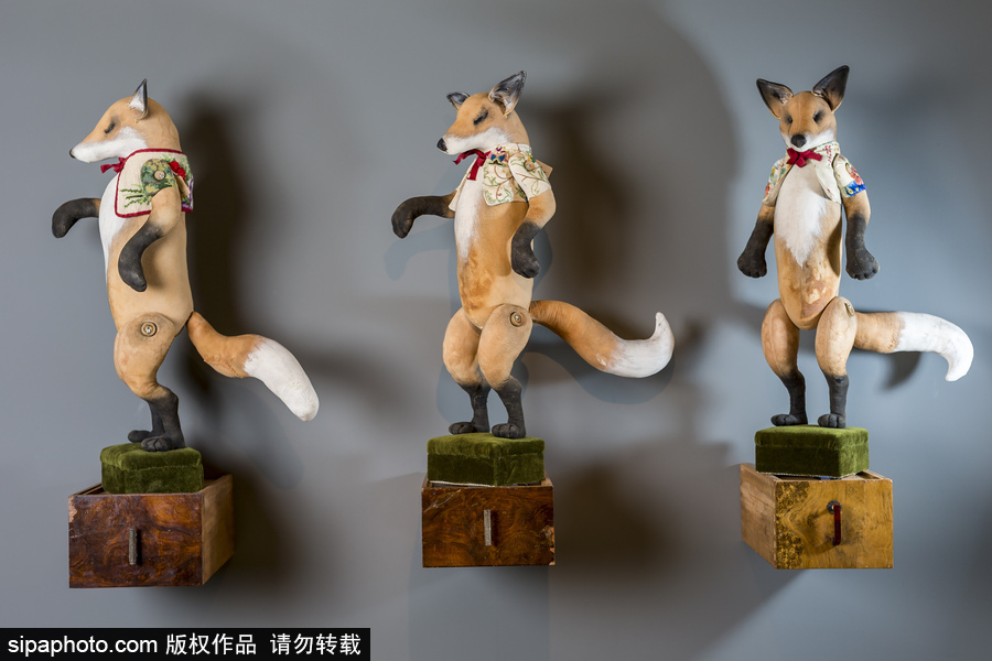 英國藝術家制作布藝動物 妙手匠心栩栩如生