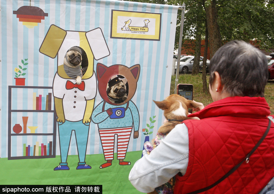 烏克蘭基輔舉行狗狗慈善跑 現場賣萌大比拼