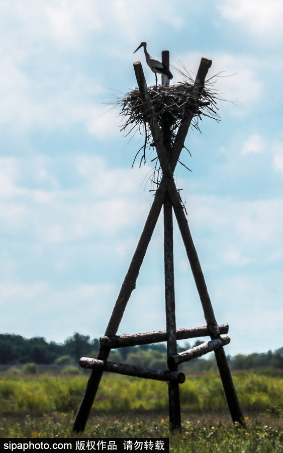 遠(yuǎn)離塵囂的動物棲息地 探訪俄羅斯別廖佐夫斯基自然保護(hù)區(qū)