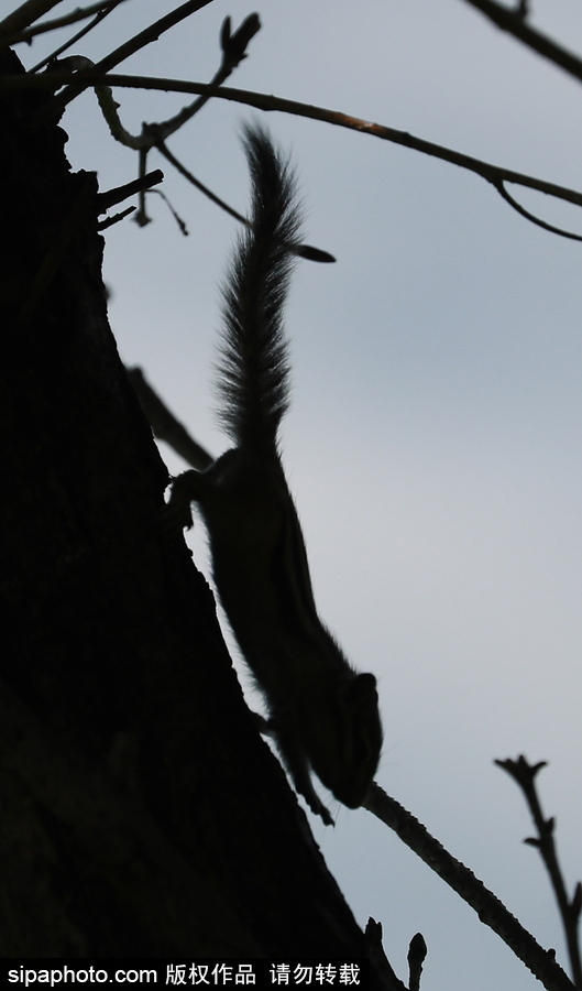 遠(yuǎn)離塵囂的動(dòng)物棲息地 探訪俄羅斯別廖佐夫斯基自然保護(hù)區(qū)