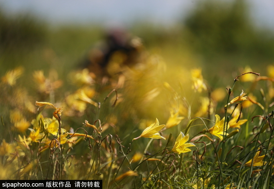 遠離塵囂的動物棲息地 探訪俄羅斯別廖佐夫斯基自然保護區