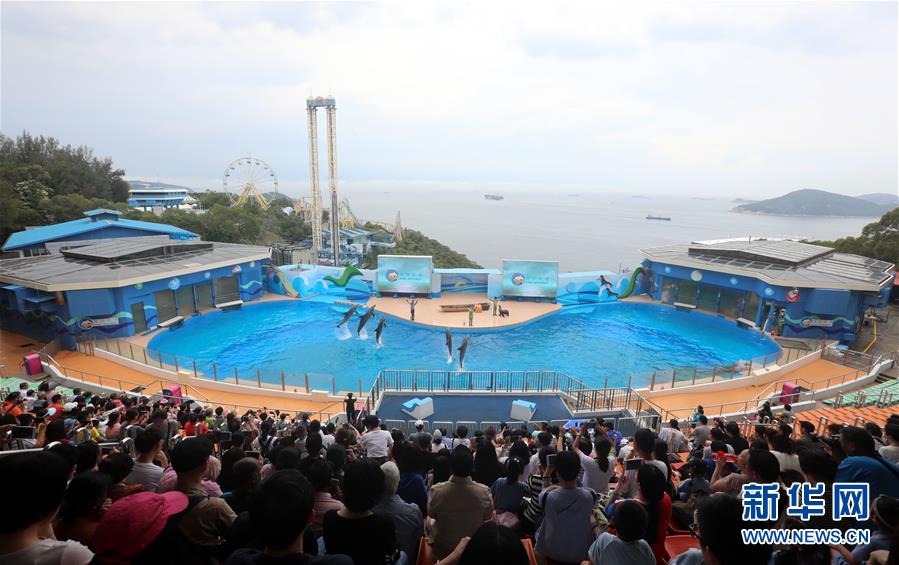 滌濁揚(yáng)清、奮發(fā)有為——香港經(jīng)濟(jì)社會(huì)發(fā)展一年間煥發(fā)新氣象