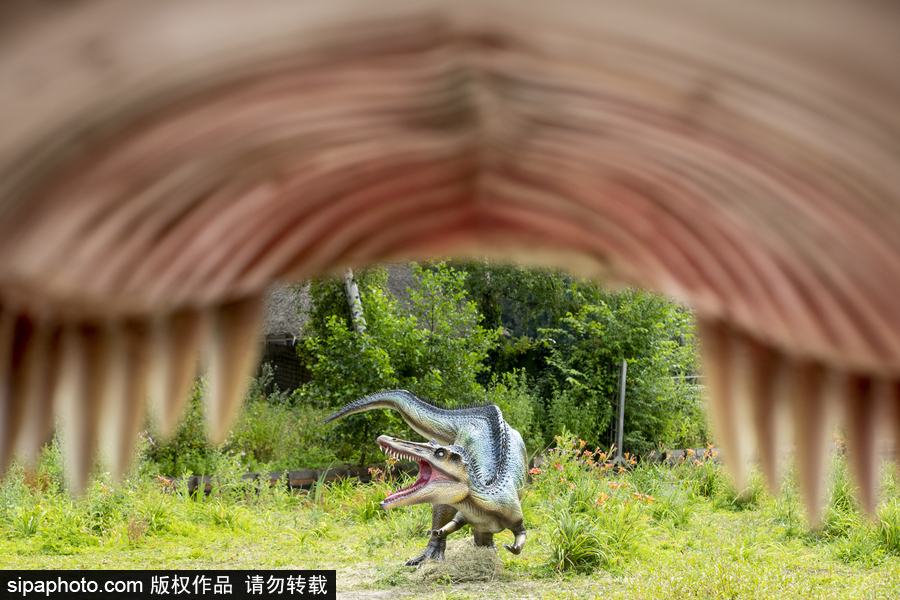 “侏羅紀王國”展覽首次亮相荷蘭 形象逼真似穿越回恐龍時代