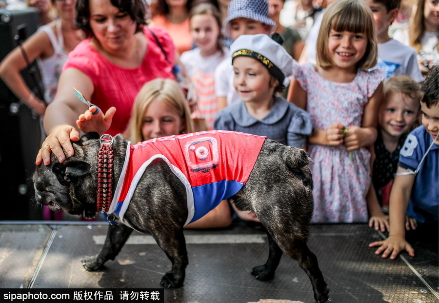俄羅斯莫斯科“法國日”活動 處處洋溢法蘭西元素