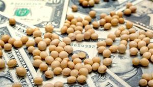 貿易戰讓愛荷華州大豆成為受害者，到底怪誰？！這州網友齊吐槽