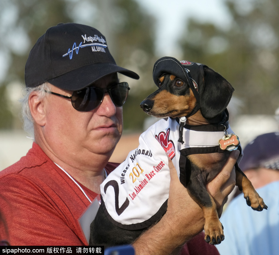 另類速度與激情！第23屆美國年度賽狗大會開幕