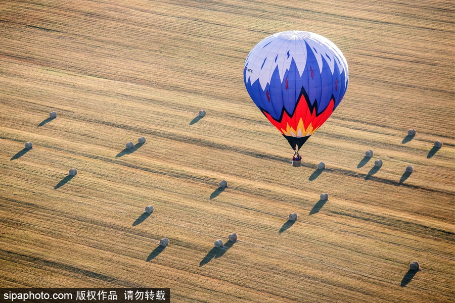 田野上放飛的彩色希望！俄羅斯下諾夫哥羅德舉辦熱氣球節