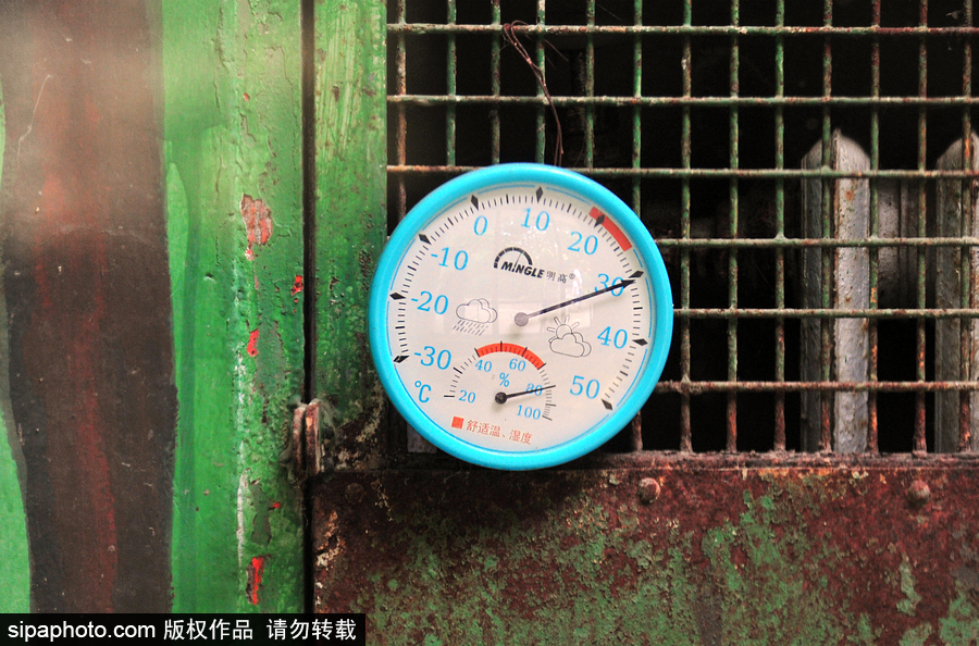 北京動(dòng)物園開啟防暑模式 小動(dòng)物們應(yīng)對(duì)高溫有“奇招”