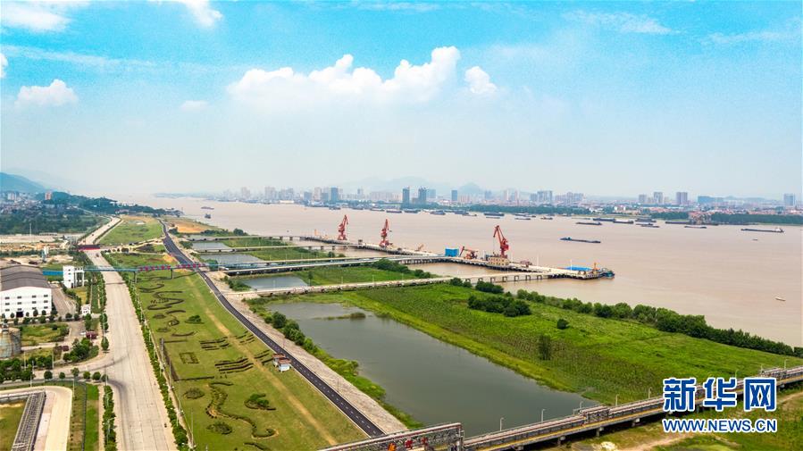 為了“一岸翠綠”——江西九江生態(tài)修復百里長江