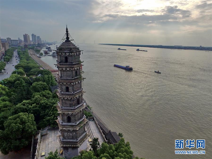 為了“一岸翠綠”——江西九江生態(tài)修復百里長江