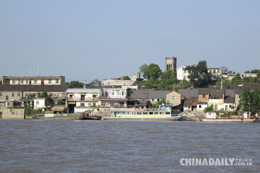 【發現長江】安徽銅陵和悅洲蔬菜有機種植 居民與江豚和諧共生