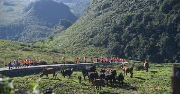 中國國際露營大會助力大方脫貧攻堅戰