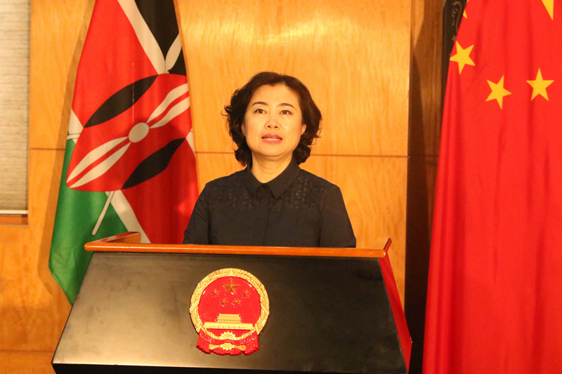 孫保紅大使：中非合作論壇北京峰會是積極應對全球挑戰的一致要求