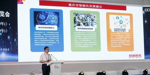 全國首個年度大數據、智能化發(fā)展水平報告在智博會上發(fā)布