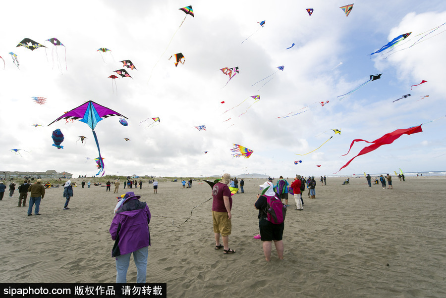 造型夸張可愛場(chǎng)面壯觀 美國(guó)華盛頓州國(guó)際風(fēng)箏節(jié)如約而至