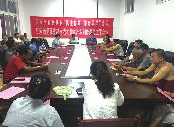 以黨建聚合力 新時代譜新篇——全市擔當作為“出彩型”好干部好團隊風采集錦