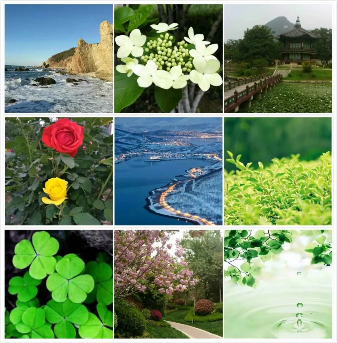 如果當初換個頭像，我可能早脫單了！據說用小動物做頭像的，缺乏安全感