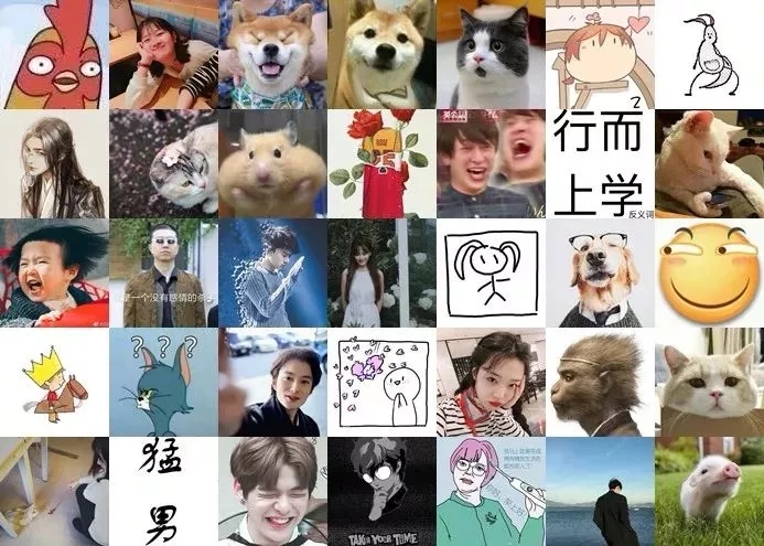 如果當初換個頭像，我可能早脫單了！據說用小動物做頭像的，缺乏安全感