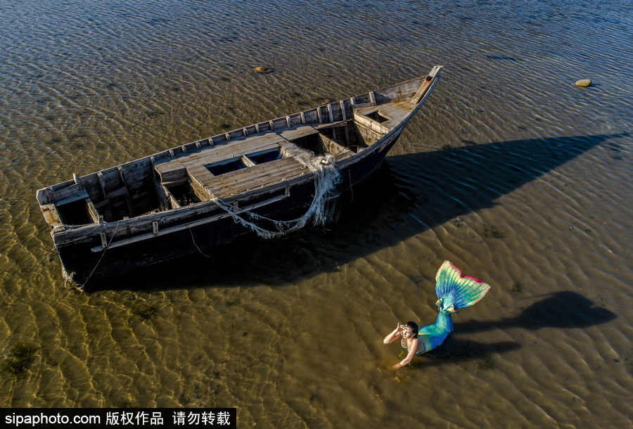 俄羅斯符拉迪沃斯托克：“美人魚”模特水中拍照再現童話場景