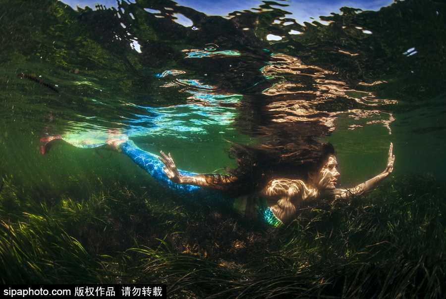 俄羅斯符拉迪沃斯托克：“美人魚”模特水中拍照再現童話場景