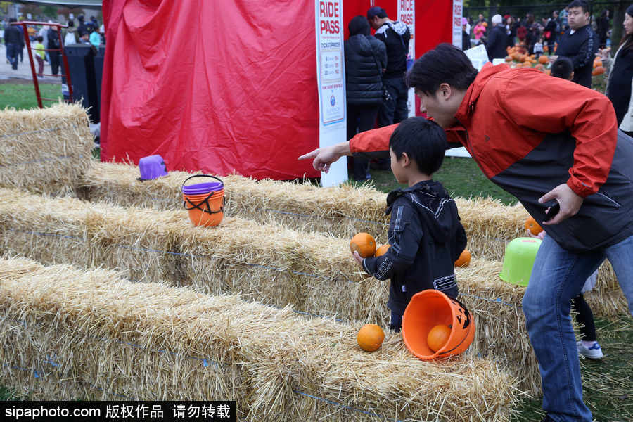 加拿大安大略?。耗信仙冽R出動(dòng)！數(shù)百人參加南瓜節(jié)慶?；顒?dòng)