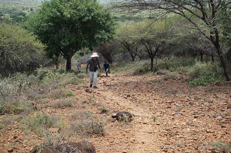 中肯聯合考古項目獲重要發現 為智人走出非洲增加重要證據