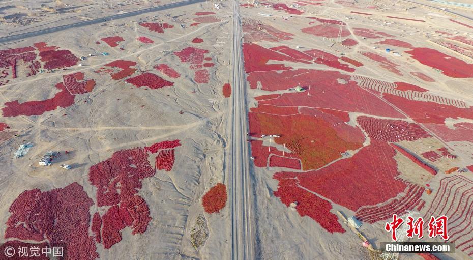 航拍戈壁灘上辣椒晾曬場 場面壯觀