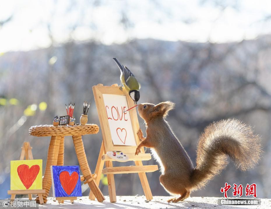 被萌到了！小松鼠變身“畫家”繪紅葉