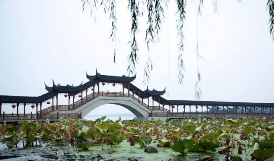 蘇州桃花源 中國頂級物業投資下一個峰值 劍指何方?