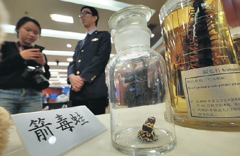 外來(lái)物種借道網(wǎng)絡(luò)入侵中國(guó)生態(tài)系統(tǒng)