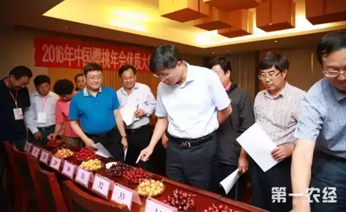 2016年中國櫻桃年會在福山召開