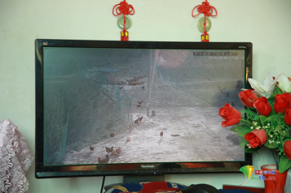 【網絡媒體走轉改】甘肅會寧:盼望小康路上再會師 老區人民致富有新招