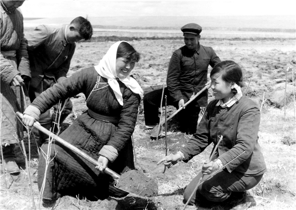 1495865410073042110.png 總體成就