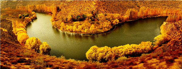 1495865416566024309.png 總體成就