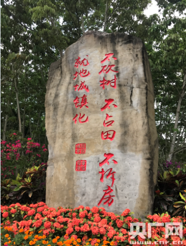 潮起海之南:特區海南,海南特色