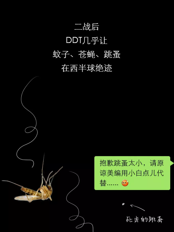 不開玩笑！今天是世！界！蚊！子！日！丨圖圖是道