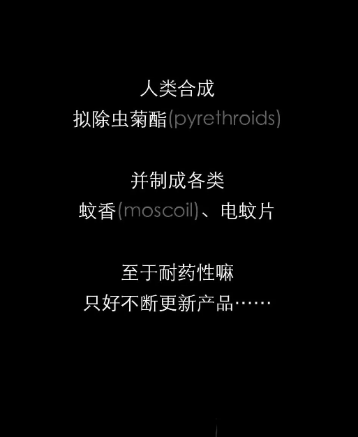 不開玩笑！今天是世！界！蚊！子！日！丨圖圖是道