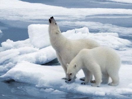 懶人包:關(guān)于巴黎氣候大會(huì),這里有你想知道的一切