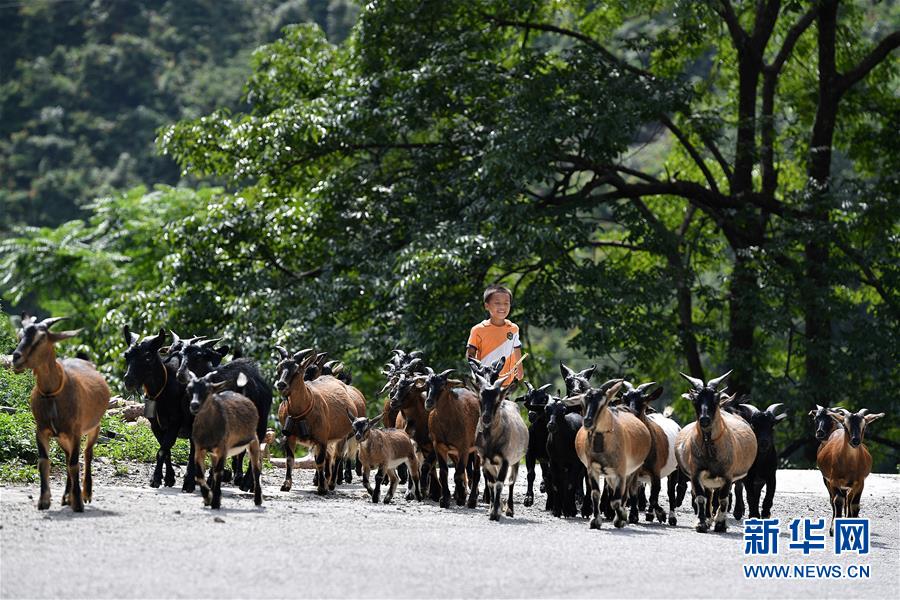 扶貧正在改變暑假生活