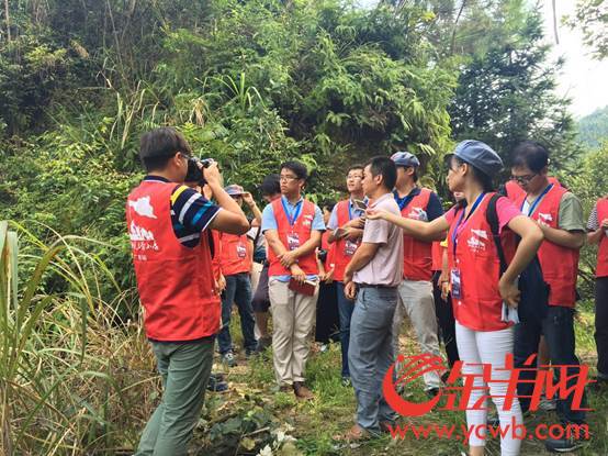 據介紹,目前整個恩村80%的村戶都種上了皇帝柑,全村已有接近2000畝皇帝柑。 【網絡媒體走轉改】千畝皇帝柑助力奔小康 城口恩村精準扶貧初見效