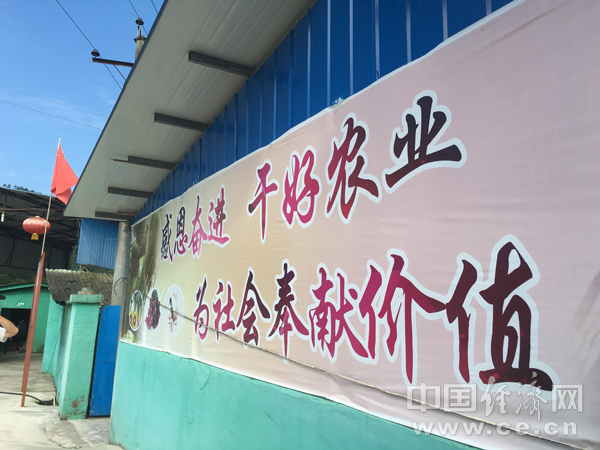 【網絡媒體“走轉改”】蘆山紅星村:精準扶貧“不破樓蘭終不還”