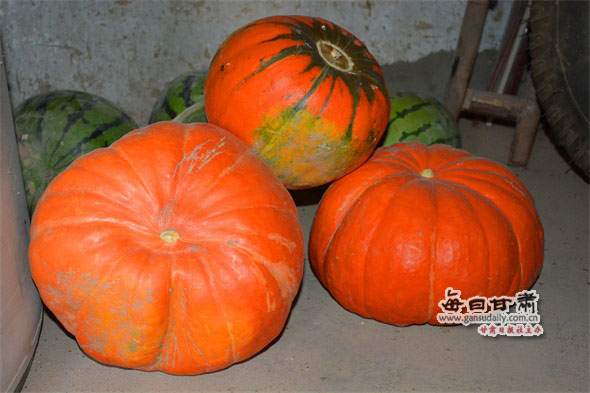 【網絡媒體走轉改】