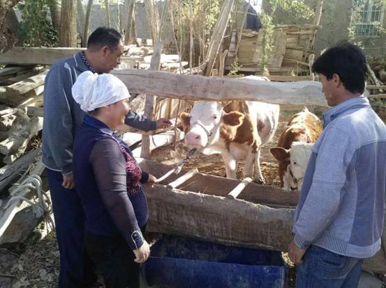 夯實(shí)扶貧地基,且末縣工作組精準(zhǔn)扶貧“回頭看”