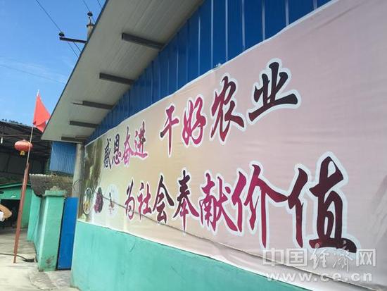 【網(wǎng)絡(luò)媒體走轉(zhuǎn)改】革命老區(qū)精準扶貧的