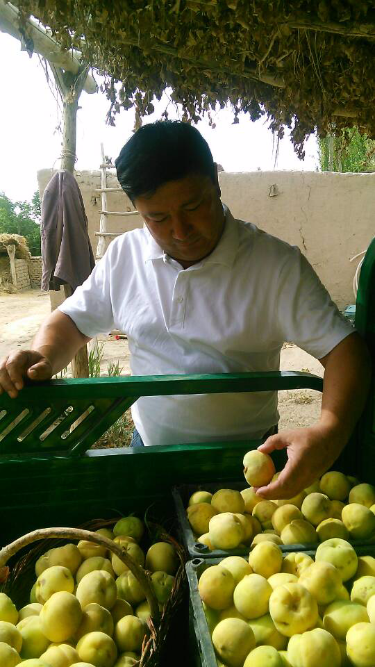 巴州政協工作組精準扶貧讓昔日鹽堿灘蝶變“杏花村”