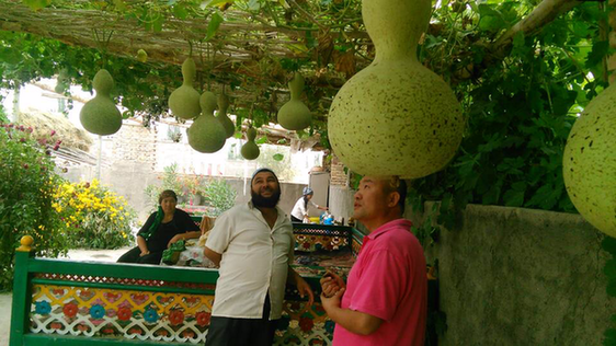 巴州政協工作組精準扶貧讓昔日鹽堿灘蝶變“杏花村”