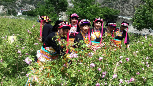 【網絡媒體“走轉改”】四川小金縣:風雨彩虹長征路 鏗鏘玫瑰助扶貧