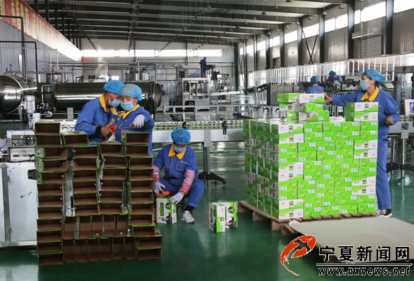 【網絡媒體“走轉改”】西吉縣扶貧攻堅“特色產業”帶動闖出新路子