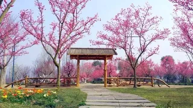 秀麗東方景區將舉辦