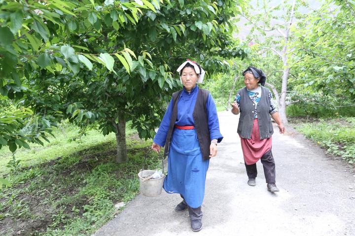 汶川地震震后十年:90后親歷者靠賣山貨月入30萬